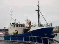 Fishing Trawler for sale