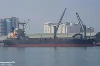 Bulk carrier for sale