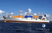 Reefer ship for sale