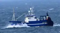 Fishing Trawler for sale