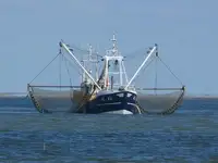 Fishing Trawler for sale