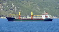 Bulk carrier for sale