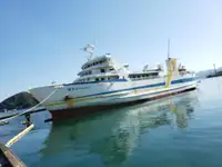 RORO ship for sale