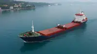 Bulk carrier for sale