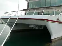 Catamaran for sale