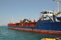 Bulk carrier for sale