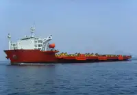 Bulk carrier for sale