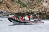 Rigid inflatable boat for sale