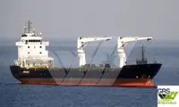 Bulk carrier for sale