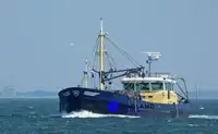 Beam trawler vessel for sale