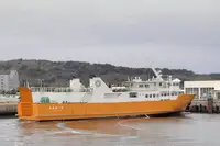 RORO ship for sale