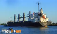 Bulk carrier for sale