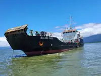 Reefer ship for sale